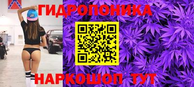 гидропоника Берёзовский