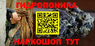 гидропоника Берёзовский