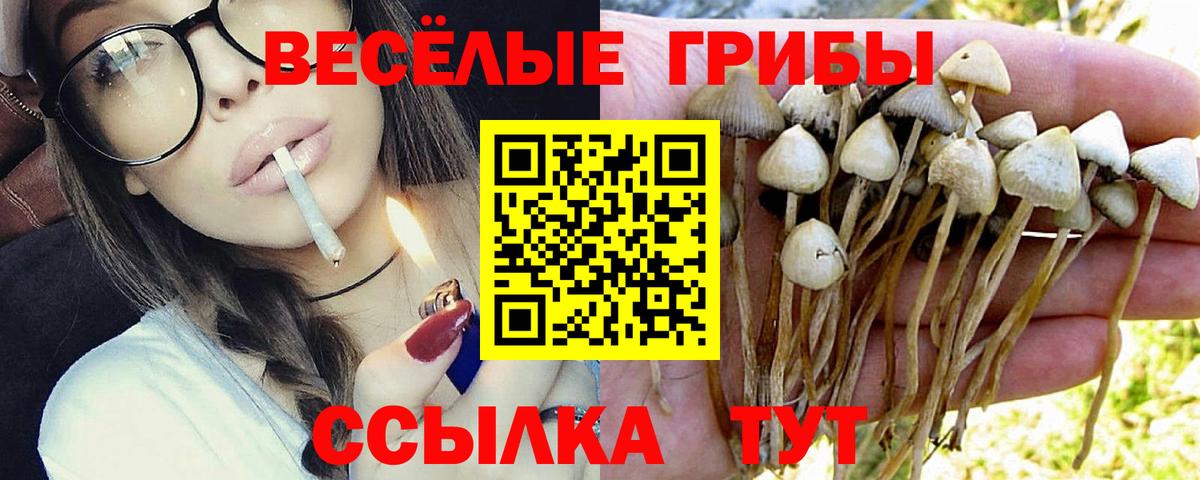 Псилоцибиновые грибы Magic Shrooms Джанкой